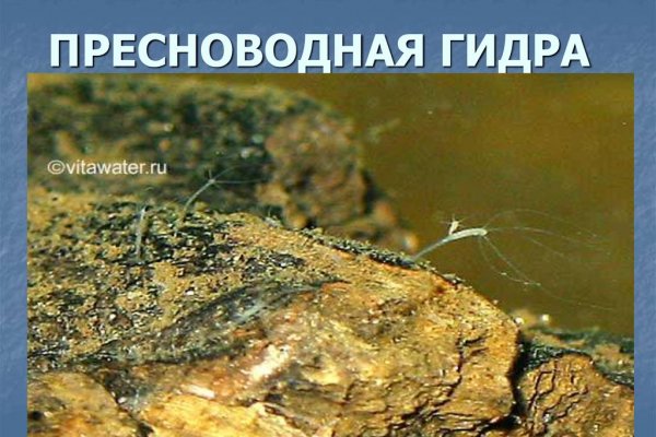 Ссылки для tor
